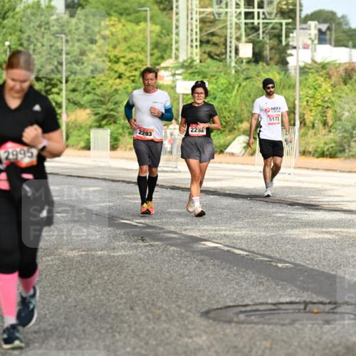 06.09.2026 - CURREX Alsterlauf Dr. Thomas Lammeyer http://msf.ph/oto/10143979 06.09.2026 10:15:19 Laufen 2995, 2292, 2293, 5172 meine-sportfotos.de