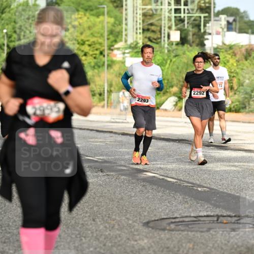 06.09.2026 - CURREX Alsterlauf Dr. Thomas Lammeyer http://msf.ph/oto/10143990 06.09.2026 10:15:20 Laufen 2293, 2292, 72 meine-sportfotos.de