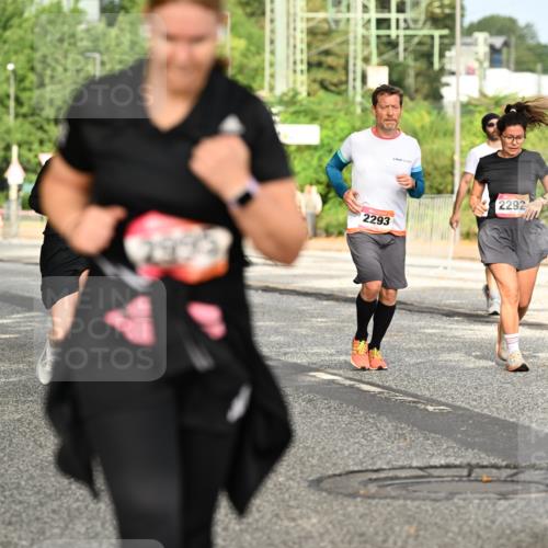 06.09.2026 - CURREX Alsterlauf Dr. Thomas Lammeyer http://msf.ph/oto/10143996 06.09.2026 10:15:21 Laufen 2293, 2292 meine-sportfotos.de