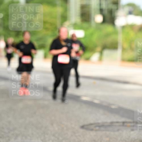 06.09.2026 - CURREX Alsterlauf Dr. Thomas Lammeyer http://msf.ph/oto/10144312 06.09.2026 10:16:01 Laufen  meine-sportfotos.de