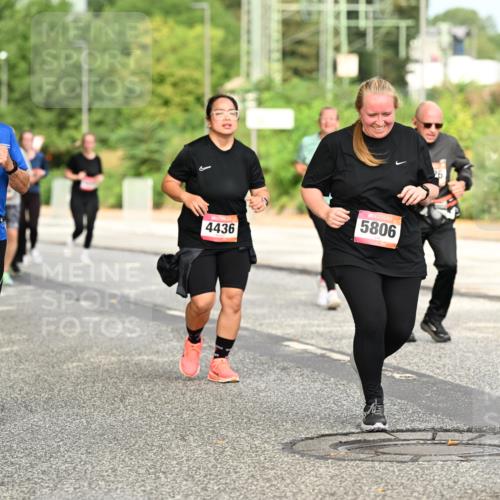 06.09.2026 - CURREX Alsterlauf Dr. Thomas Lammeyer http://msf.ph/oto/10144330 06.09.2026 10:16:03 Laufen 2579, 4436, 5806, 26 meine-sportfotos.de