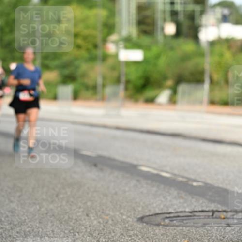 06.09.2026 - CURREX Alsterlauf Dr. Thomas Lammeyer http://msf.ph/oto/10144709 06.09.2026 10:16:56 Laufen  meine-sportfotos.de