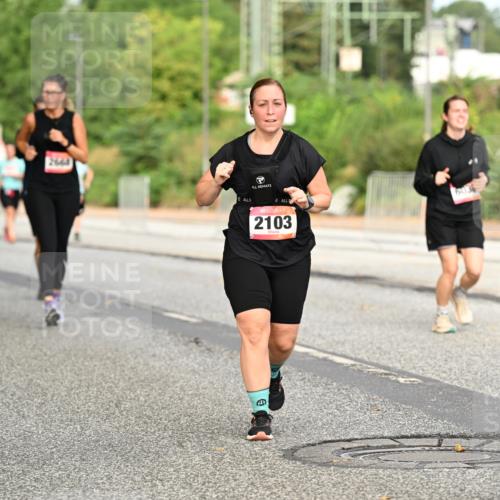 06.09.2026 - CURREX Alsterlauf Dr. Thomas Lammeyer http://msf.ph/oto/10144826 06.09.2026 10:17:12 Laufen 2667, 664, 2103, 4118 meine-sportfotos.de