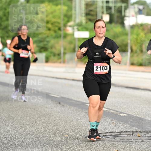 06.09.2026 - CURREX Alsterlauf Dr. Thomas Lammeyer http://msf.ph/oto/10144831 06.09.2026 10:17:13 Laufen 2103, 6038 meine-sportfotos.de