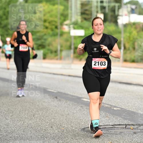 06.09.2026 - CURREX Alsterlauf Dr. Thomas Lammeyer http://msf.ph/oto/10144834 06.09.2026 10:17:13 Laufen 2103 meine-sportfotos.de
