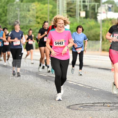 06.09.2026 - CURREX Alsterlauf Dr. Thomas Lammeyer http://msf.ph/oto/10144921 06.09.2026 10:17:22 Laufen 5442, 43, 2613 meine-sportfotos.de