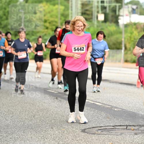 06.09.2026 - CURREX Alsterlauf Dr. Thomas Lammeyer http://msf.ph/oto/10144923 06.09.2026 10:17:22 Laufen 5442, 5431, 2613 meine-sportfotos.de