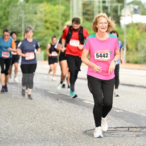 06.09.2026 - CURREX Alsterlauf Dr. Thomas Lammeyer http://msf.ph/oto/10144930 06.09.2026 10:17:23 Laufen 8232, 5442 meine-sportfotos.de