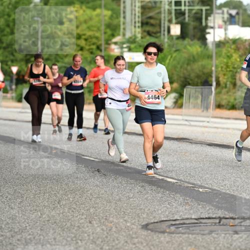 06.09.2026 - CURREX Alsterlauf Dr. Thomas Lammeyer http://msf.ph/oto/10145028 06.09.2026 10:17:34 Laufen 288, 4869, 48, 4464 meine-sportfotos.de
