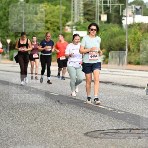 06.09.2026 - CURREX Alsterlauf Dr. Thomas Lammeyer http://msf.ph/oto/10145030 06.09.2026 10:17:34 Laufen 4406, 4464 meine-sportfotos.de