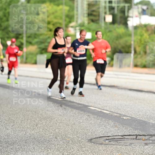 06.09.2026 - CURREX Alsterlauf Dr. Thomas Lammeyer http://msf.ph/oto/10145053 06.09.2026 10:17:36 Laufen 4464 meine-sportfotos.de