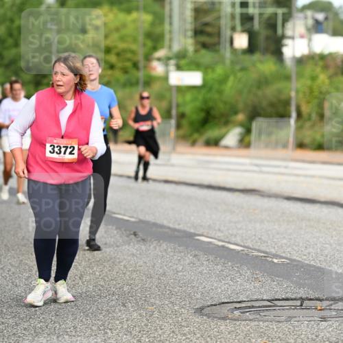 06.09.2026 - CURREX Alsterlauf Dr. Thomas Lammeyer http://msf.ph/oto/10145199 06.09.2026 10:17:59 Laufen 3372 meine-sportfotos.de