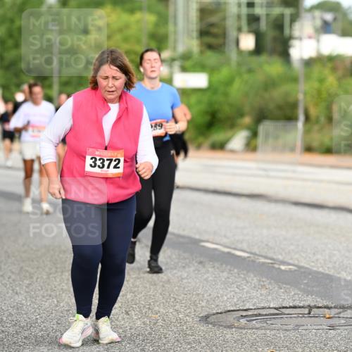 06.09.2026 - CURREX Alsterlauf Dr. Thomas Lammeyer http://msf.ph/oto/10145208 06.09.2026 10:18:00 Laufen 3372, 189 meine-sportfotos.de