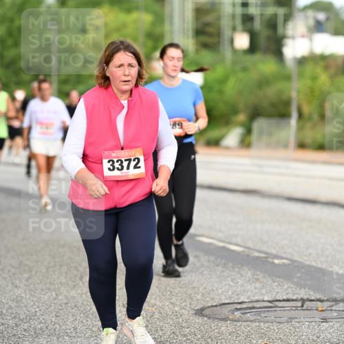 06.09.2026 - CURREX Alsterlauf Dr. Thomas Lammeyer http://msf.ph/oto/10145212 06.09.2026 10:18:00 Laufen 3372, 89 meine-sportfotos.de