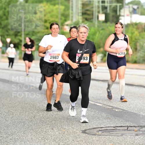 06.09.2026 - CURREX Alsterlauf Dr. Thomas Lammeyer http://msf.ph/oto/10145362 06.09.2026 10:18:16 Laufen 2987, 5318, 293 meine-sportfotos.de