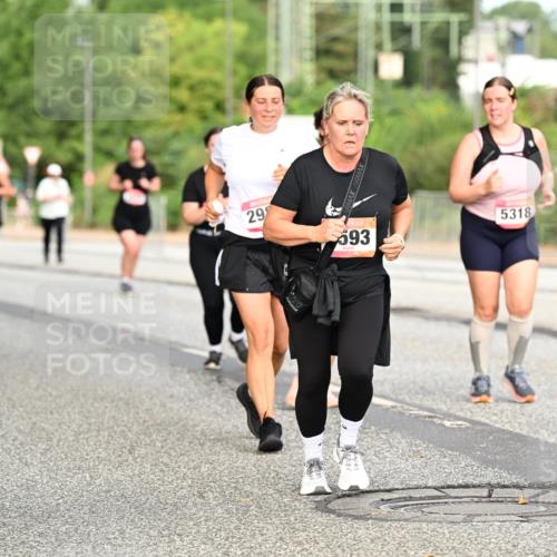 06.09.2026 - CURREX Alsterlauf Dr. Thomas Lammeyer http://msf.ph/oto/10145367 06.09.2026 10:18:16 Laufen 29, 5318, 593 meine-sportfotos.de