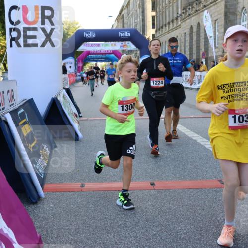 06.09.2026 - CURREX Alsterlauf Strokosch-Dieckow http://msf.ph/oto/10145369 06.09.2026 11:51:27 Ziel 1032, 1035, 1103, 1129, 1148, 1178, 1179, 1180, 1224, 1300, 1301, 1343, 1346, 8047, 8172, 8184, 8208, 8335 meine-sportfotos.de