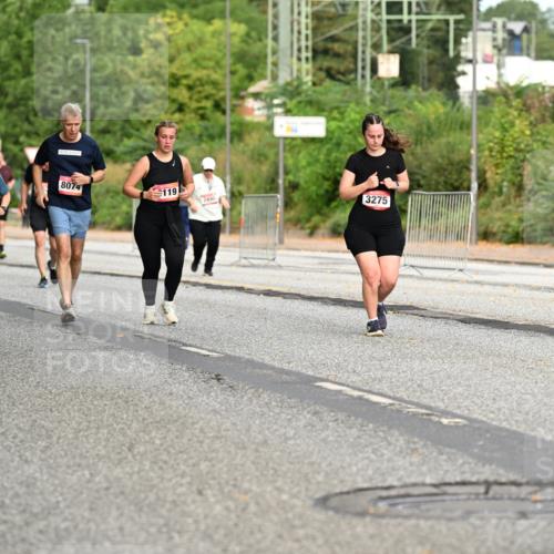 06.09.2026 - CURREX Alsterlauf Dr. Thomas Lammeyer http://msf.ph/oto/10145413 06.09.2026 10:18:21 Laufen 28, 91, 8074, 119, 3275, 3427 meine-sportfotos.de