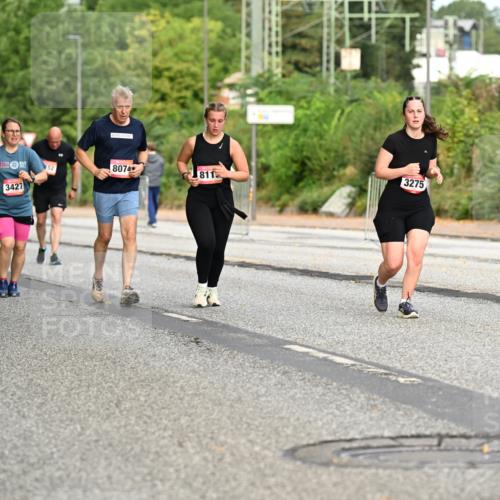 06.09.2026 - CURREX Alsterlauf Dr. Thomas Lammeyer http://msf.ph/oto/10145422 06.09.2026 10:18:22 Laufen 52, 8074, 811, 3275, 5128, 3427 meine-sportfotos.de