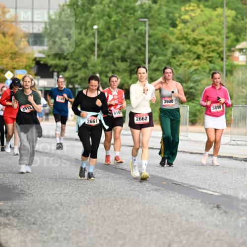 06.09.2026 - CURREX Alsterlauf Dr. Thomas Lammeyer http://msf.ph/oto/10145782 06.09.2026 10:19:25 Laufen 584, 4514, 4513, 3185, 2661, 6167, 2662, 3900, 3899 meine-sportfotos.de