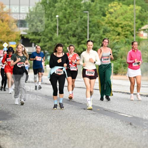 06.09.2026 - CURREX Alsterlauf Dr. Thomas Lammeyer http://msf.ph/oto/10145787 06.09.2026 10:19:25 Laufen 5842, 4514, 581, 185, 122, 4513, 6167, 2661, 2662, 3900, 3899 meine-sportfotos.de