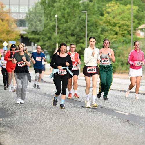 06.09.2026 - CURREX Alsterlauf Dr. Thomas Lammeyer http://msf.ph/oto/10145789 06.09.2026 10:19:26 Laufen 5842, 4514, 422, 3185, 4513, 6167, 2661, 2662, 3900, 99 meine-sportfotos.de