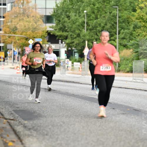06.09.2026 - CURREX Alsterlauf Dr. Thomas Lammeyer http://msf.ph/oto/10145870 06.09.2026 10:19:49 Laufen 2984, 4927, 4384, 2393 meine-sportfotos.de