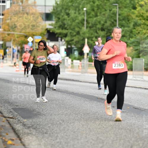 06.09.2026 - CURREX Alsterlauf Dr. Thomas Lammeyer http://msf.ph/oto/10145876 06.09.2026 10:19:50 Laufen 2984, 4927, 4384, 2393 meine-sportfotos.de