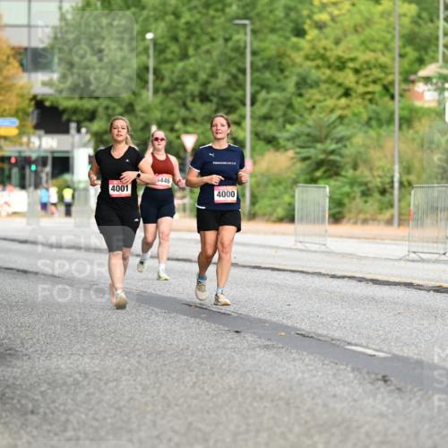 06.09.2026 - CURREX Alsterlauf Dr. Thomas Lammeyer http://msf.ph/oto/10145994 06.09.2026 10:20:08 Laufen 4001, 446, 4000 meine-sportfotos.de