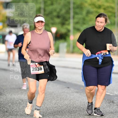 06.09.2026 - CURREX Alsterlauf Dr. Thomas Lammeyer http://msf.ph/oto/10146045 06.09.2026 10:20:21 Laufen 2636, 35 meine-sportfotos.de