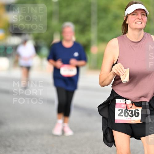 06.09.2026 - CURREX Alsterlauf Dr. Thomas Lammeyer http://msf.ph/oto/10146061 06.09.2026 10:20:24 Laufen 2636 meine-sportfotos.de