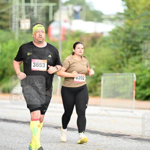06.09.2026 - CURREX Alsterlauf Dr. Thomas Lammeyer http://msf.ph/oto/10146217 06.09.2026 10:21:00 Laufen 3653, 6202 meine-sportfotos.de