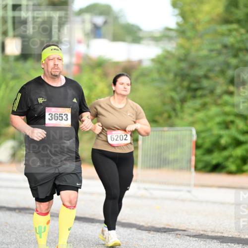 06.09.2026 - CURREX Alsterlauf Dr. Thomas Lammeyer http://msf.ph/oto/10146220 06.09.2026 10:21:01 Laufen 3653, 6202 meine-sportfotos.de