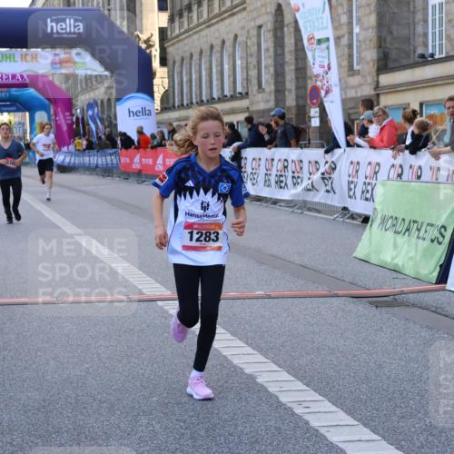 06.09.2026 - CURREX Alsterlauf Strokosch-Dieckow http://msf.ph/oto/10146338 06.09.2026 11:52:59 Ziel 1001, 1040, 1061, 1184, 1283, 1293, 4802, 8016, 8300 meine-sportfotos.de