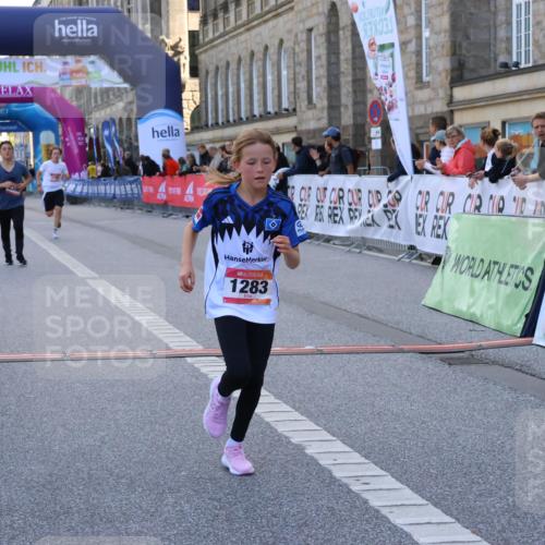 06.09.2026 - CURREX Alsterlauf Strokosch-Dieckow http://msf.ph/oto/10146346 06.09.2026 11:52:59 Ziel 1001, 1040, 1061, 1184, 1283, 1293, 4802, 8016, 8300 meine-sportfotos.de