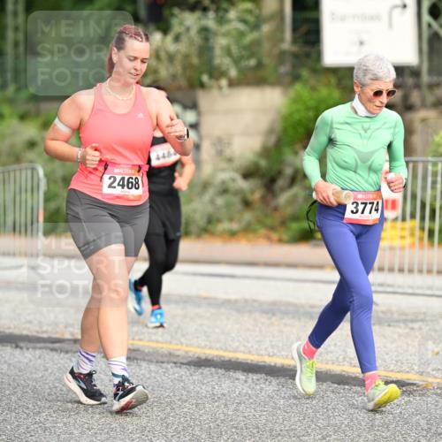 06.09.2026 - CURREX Alsterlauf Dr. Thomas Lammeyer http://msf.ph/oto/10146376 06.09.2026 10:21:25 Laufen 2439, 2468, 3774 meine-sportfotos.de