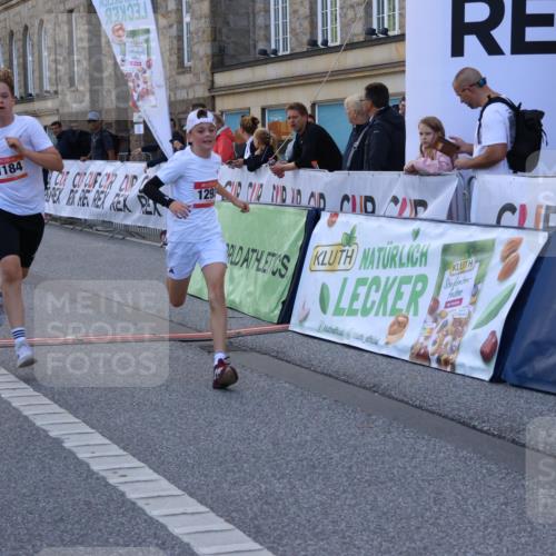 06.09.2026 - CURREX Alsterlauf Strokosch-Dieckow http://msf.ph/oto/10146393 06.09.2026 11:53:03 Ziel 1001, 1040, 1184, 1283, 1293, 4802, 8155, 8300 meine-sportfotos.de
