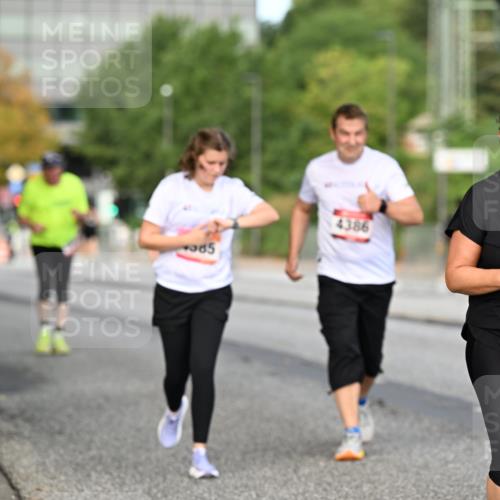 06.09.2026 - CURREX Alsterlauf Dr. Thomas Lammeyer http://msf.ph/oto/10146399 06.09.2026 10:21:28 Laufen 85, 4386, 170 meine-sportfotos.de