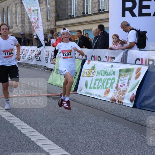 06.09.2026 - CURREX Alsterlauf Strokosch-Dieckow http://msf.ph/oto/10146413 06.09.2026 11:53:04 Ziel 1001, 1040, 1184, 1283, 1293, 4802, 8155, 8300 meine-sportfotos.de