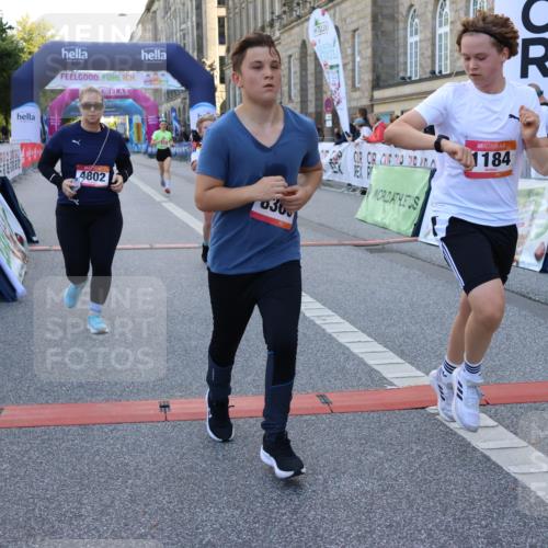 06.09.2026 - CURREX Alsterlauf Strokosch-Dieckow http://msf.ph/oto/10146430 06.09.2026 11:53:05 Ziel 1001, 1040, 1184, 1202, 1283, 1293, 4802, 8155, 8300 meine-sportfotos.de