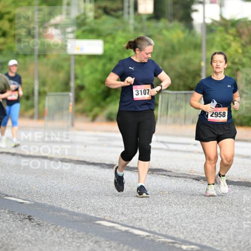 06.09.2026 - CURREX Alsterlauf Dr. Thomas Lammeyer http://msf.ph/oto/10146730 06.09.2026 10:22:42 Laufen 3107, 2958 meine-sportfotos.de