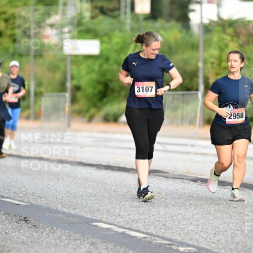 06.09.2026 - CURREX Alsterlauf Dr. Thomas Lammeyer http://msf.ph/oto/10146733 06.09.2026 10:22:43 Laufen 3107, 2958 meine-sportfotos.de