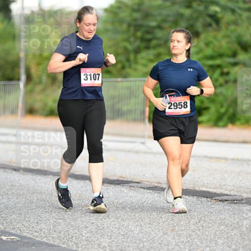 06.09.2026 - CURREX Alsterlauf Dr. Thomas Lammeyer http://msf.ph/oto/10146748 06.09.2026 10:22:44 Laufen 3107, 2958 meine-sportfotos.de
