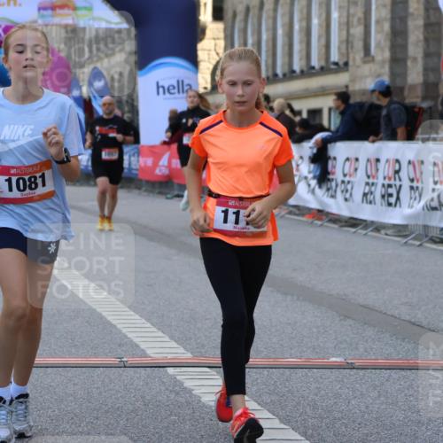 06.09.2026 - CURREX Alsterlauf Strokosch-Dieckow http://msf.ph/oto/10146765 06.09.2026 11:53:43 Ziel 1057, 1066, 1081, 1111, 1213, 8261 meine-sportfotos.de