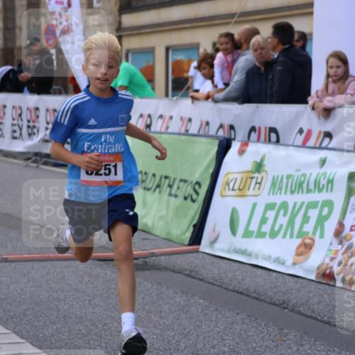 06.09.2026 - CURREX Alsterlauf Strokosch-Dieckow http://msf.ph/oto/10147146 06.09.2026 11:55:55 Ziel 1072, 1109, 1110, 1149, 1296, 1299, 1344, 8042, 8251, 8346 meine-sportfotos.de