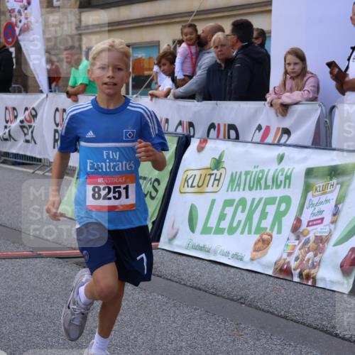 06.09.2026 - CURREX Alsterlauf Strokosch-Dieckow http://msf.ph/oto/10147151 06.09.2026 11:55:56 Ziel 1072, 1109, 1110, 1149, 1296, 1299, 1344, 8042, 8251, 8346 meine-sportfotos.de