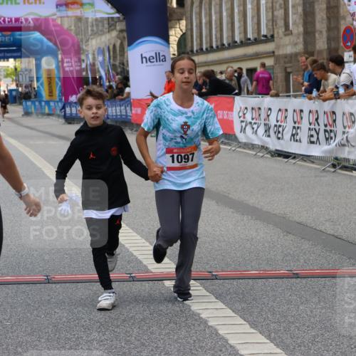 06.09.2026 - CURREX Alsterlauf Strokosch-Dieckow http://msf.ph/oto/10148199 06.09.2026 12:00:49 Ziel 1013, 1097, 1231, 1272, 1280 meine-sportfotos.de