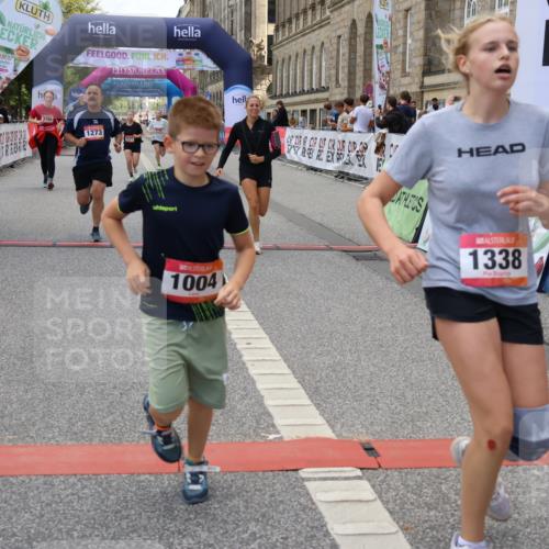 06.09.2026 - CURREX Alsterlauf Strokosch-Dieckow http://msf.ph/oto/10148244 06.09.2026 12:01:08 Ziel 1170, 1177, 1270, 1273, 1338, 3755, 4802, 8018 meine-sportfotos.de