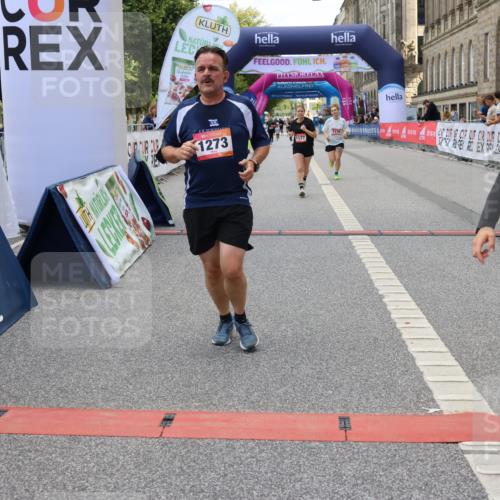 06.09.2026 - CURREX Alsterlauf Strokosch-Dieckow http://msf.ph/oto/10148252 06.09.2026 12:01:10 Ziel 1170, 1177, 1273, 1338, 3755, 8018 meine-sportfotos.de