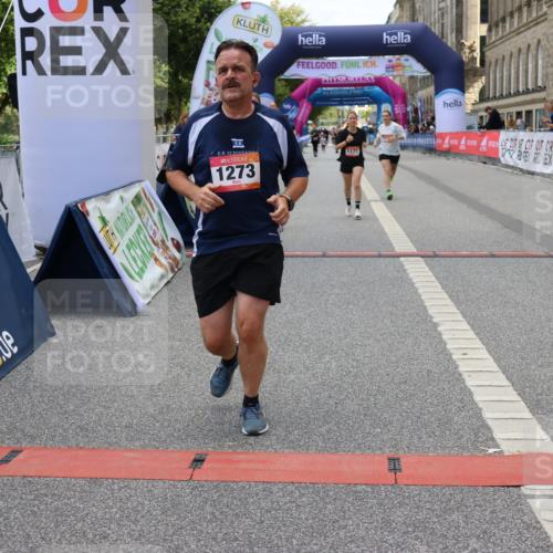 06.09.2026 - CURREX Alsterlauf Strokosch-Dieckow http://msf.ph/oto/10148261 06.09.2026 12:01:10 Ziel 1170, 1177, 1273, 1338, 3755, 8018 meine-sportfotos.de